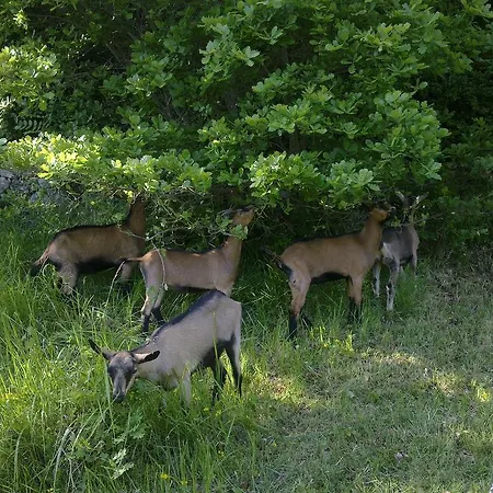 Le Moulin De Gauty Nocleg ze śniadaniem