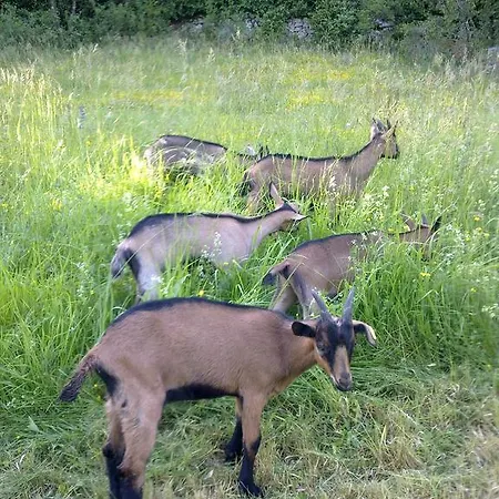 Le Moulin De Gauty Saint-Jean-et-Saint-Paul