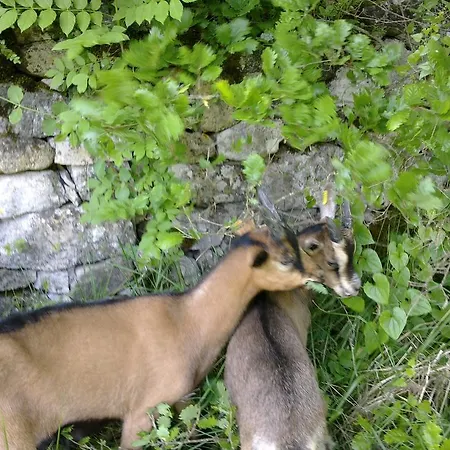 Nocleg ze śniadaniem Le Moulin De Gauty 3*