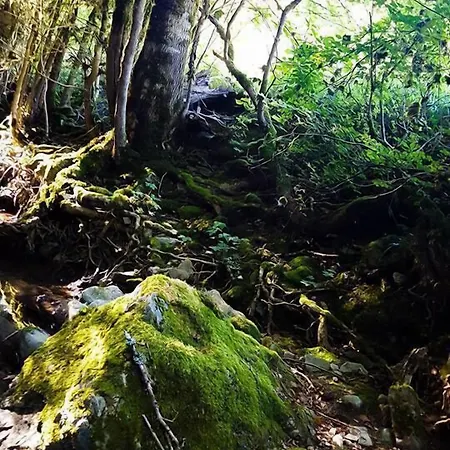 Le Moulin De Gauty Nocleg ze śniadaniem Saint-Jean-et-Saint-Paul