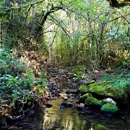 Le Moulin De Gauty Nocleg ze śniadaniem Saint-Jean-et-Saint-Paul