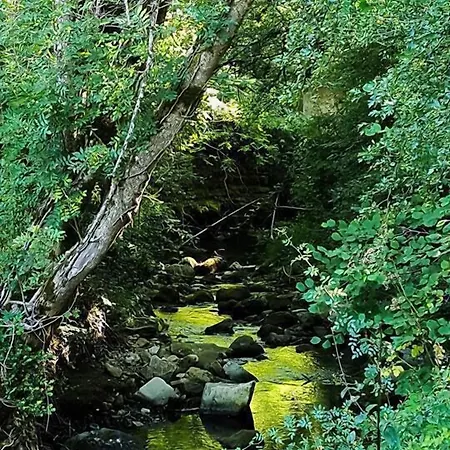 Nocleg ze śniadaniem Le Moulin De Gauty Saint-Jean-et-Saint-Paul