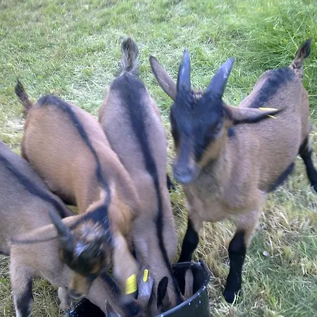 Le Moulin De Gauty Saint-Jean-et-Saint-Paul