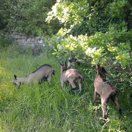 Nocleg ze śniadaniem Le Moulin De Gauty