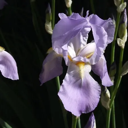 Le Moulin De Gauty Nocleg ze śniadaniem Saint-Jean-et-Saint-Paul