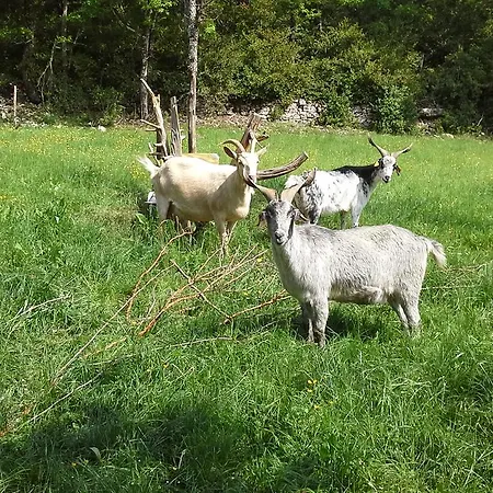 Le Moulin De Gauty Nocleg ze śniadaniem 3*