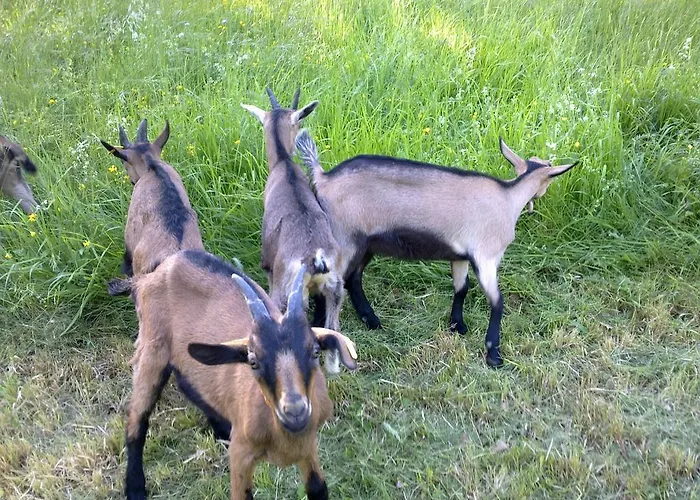 B&B Le Moulin De Gauty Saint-Jean-et-Saint-Paul