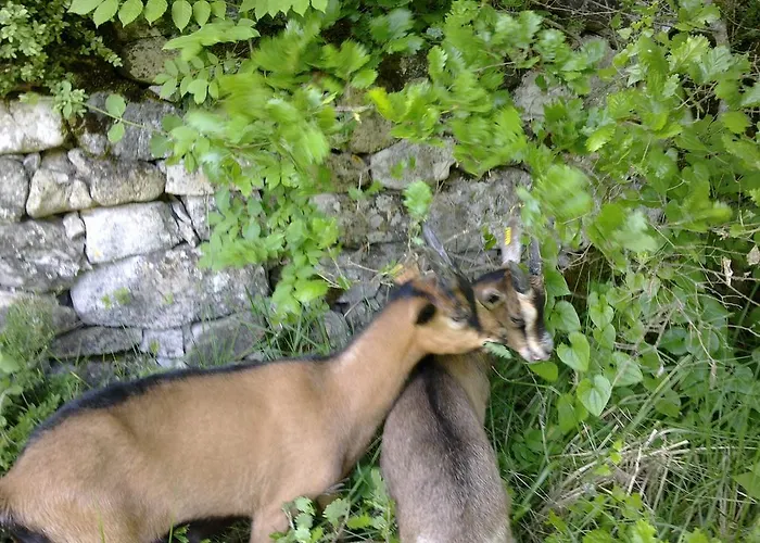 B&B Le Moulin De Gauty 3*