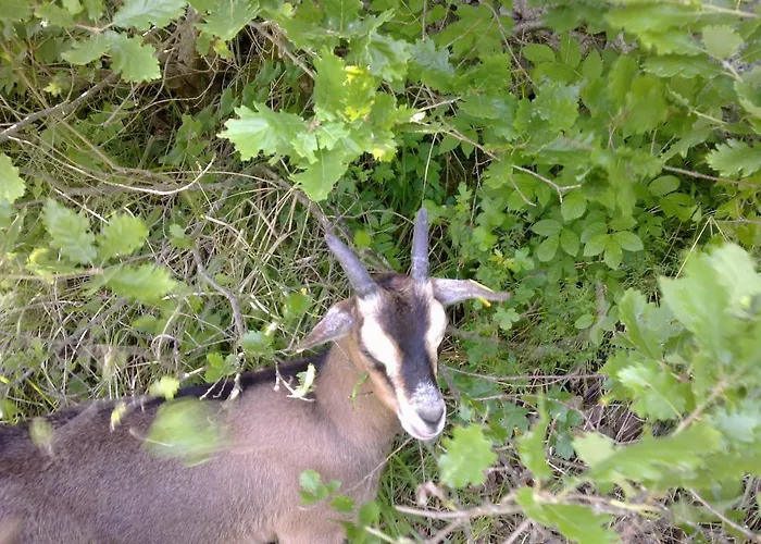 Le Moulin De Gauty 3* Saint-Jean-et-Saint-Paul