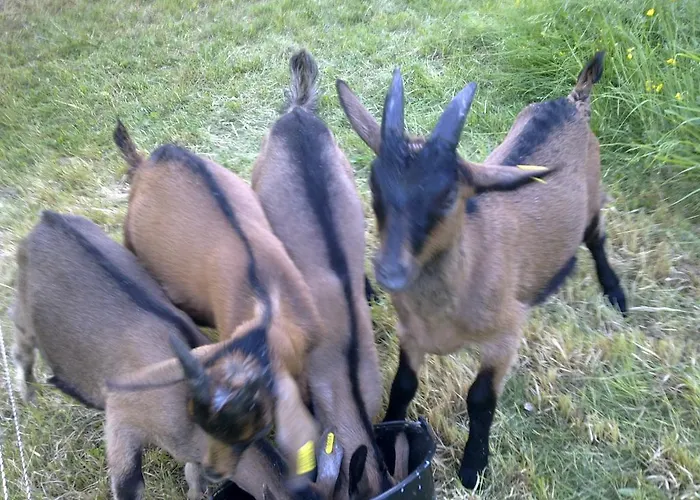 Le Moulin De Gauty Saint-Jean-et-Saint-Paul