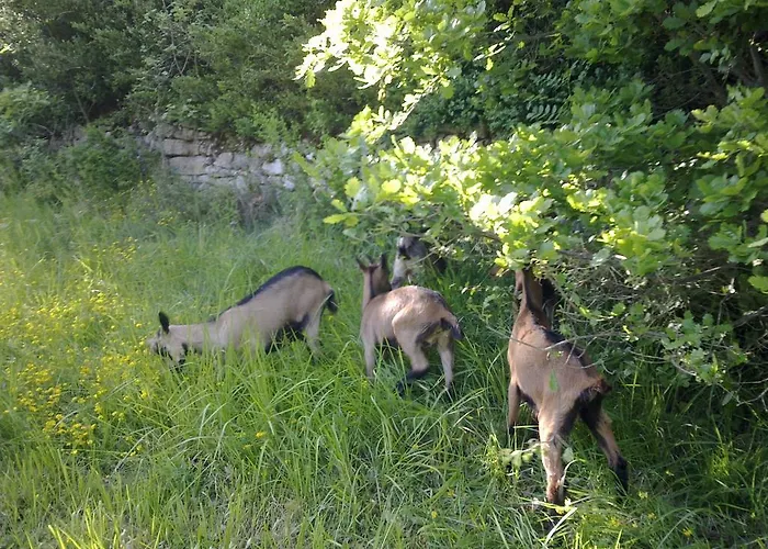 B&B Le Moulin De Gauty
