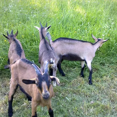 Bed & Breakfast Le Moulin De Gauty Saint-Jean-et-Saint-Paul