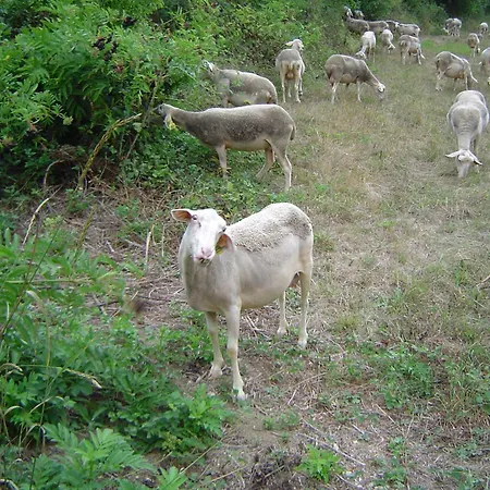 Le Moulin De Gauty Bed & Breakfast