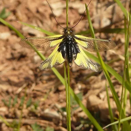 Bed & Breakfast Le Moulin De Gauty