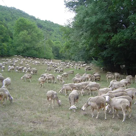 Le Moulin De Gauty 3*