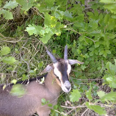 Le Moulin De Gauty 3* Saint-Jean-et-Saint-Paul