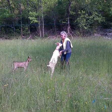 Bed & Breakfast Le Moulin De Gauty