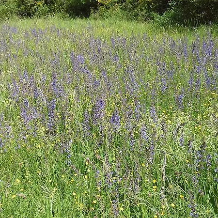 Le Moulin De Gauty Bed & Breakfast 3*