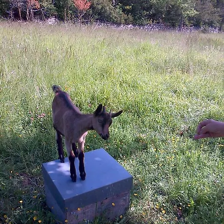 Bed & Breakfast Le Moulin De Gauty 3*