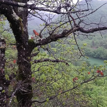 Bed & Breakfast Le Moulin De Gauty 3*